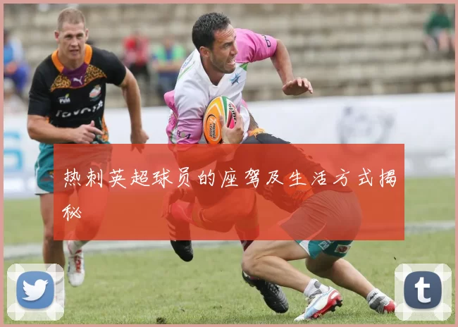 热刺英超球员的座驾及生活方式揭秘