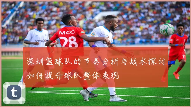 深圳篮球队的节奏分析与战术探讨如何提升球队整体表现