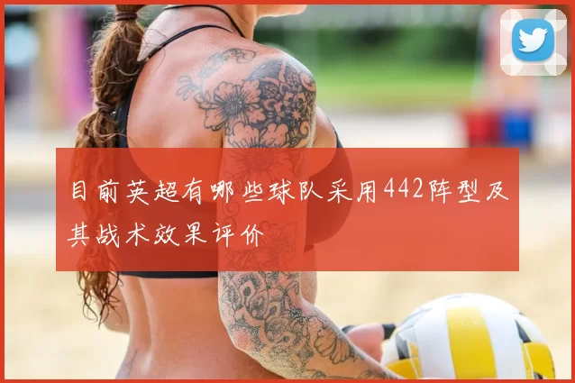 目前英超有哪些球队采用442阵型及其战术效果评价
