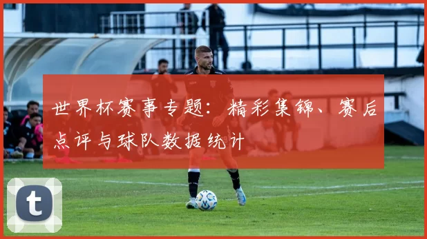 世界杯赛事专题:精彩集锦、赛后点评与球队数据统计