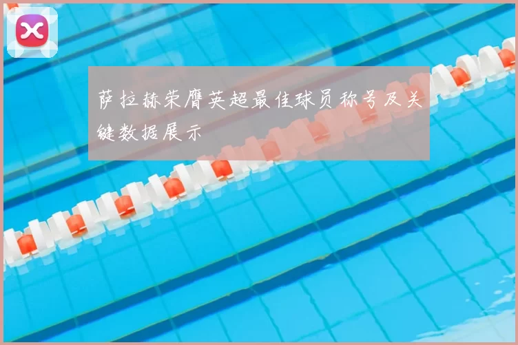 萨拉赫荣膺英超最佳球员称号及关键数据展示