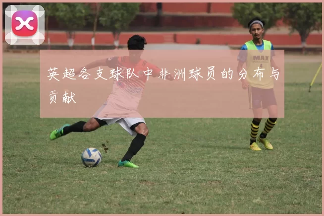 英超各支球队中非洲球员的分布与贡献