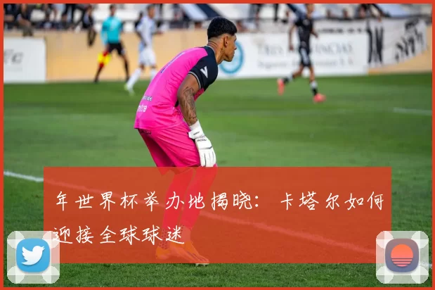 年世界杯举办地揭晓：卡塔尔如何迎接全球球迷