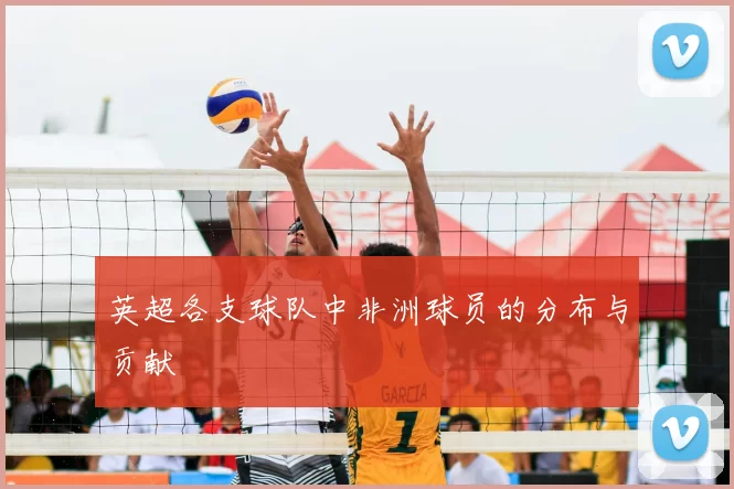 英超各支球队中非洲球员的分布与贡献