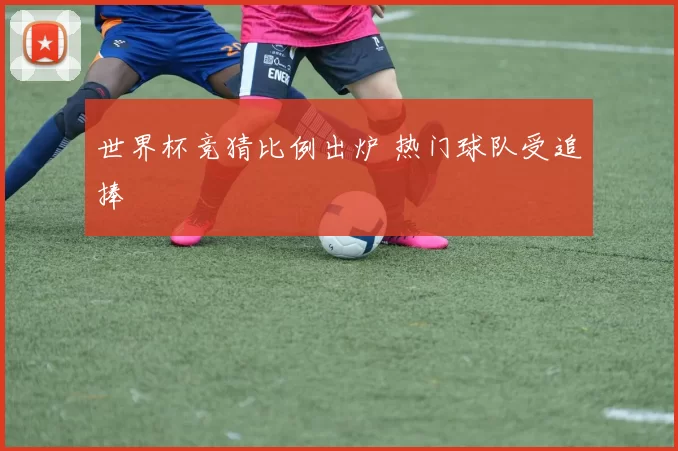 世界杯竞猜比例出炉 热门球队受追捧