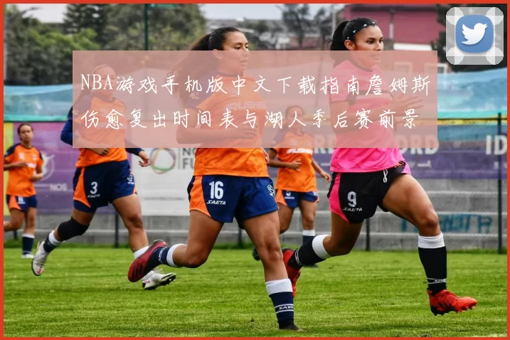 NBA游戏手机版中文下载指南詹姆斯伤愈复出时间表与湖人季后赛前景分析