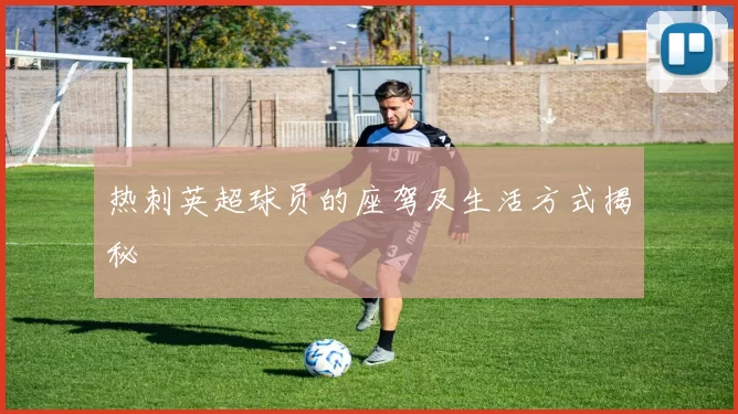 热刺英超球员的座驾及生活方式揭秘